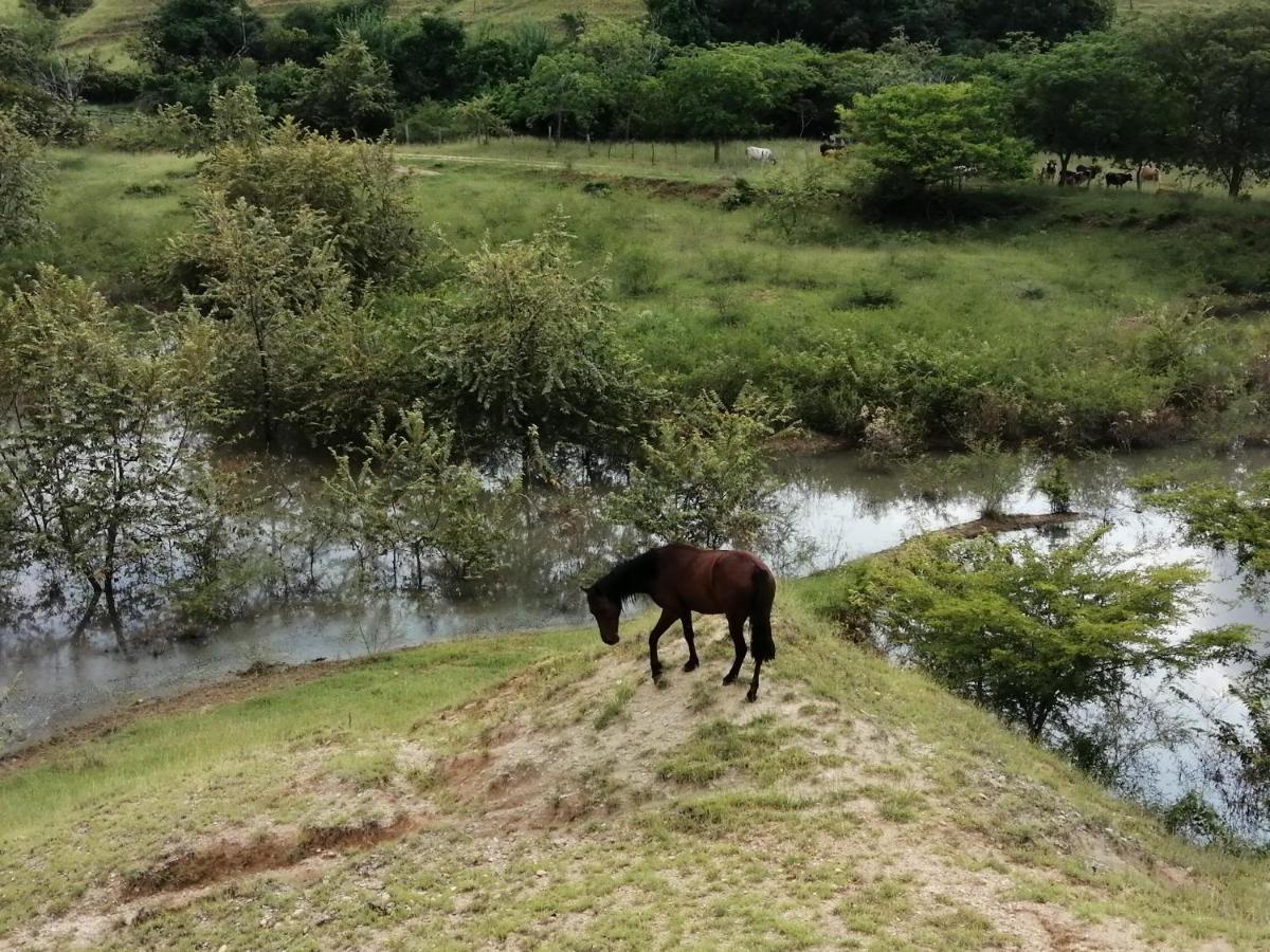 Finca Ecoturistica LOS JAGUEYES Baraya Exterior foto