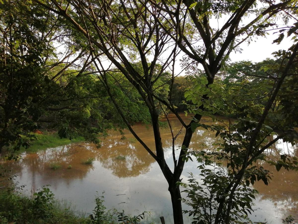 Finca Ecoturistica LOS JAGUEYES Baraya Exterior foto