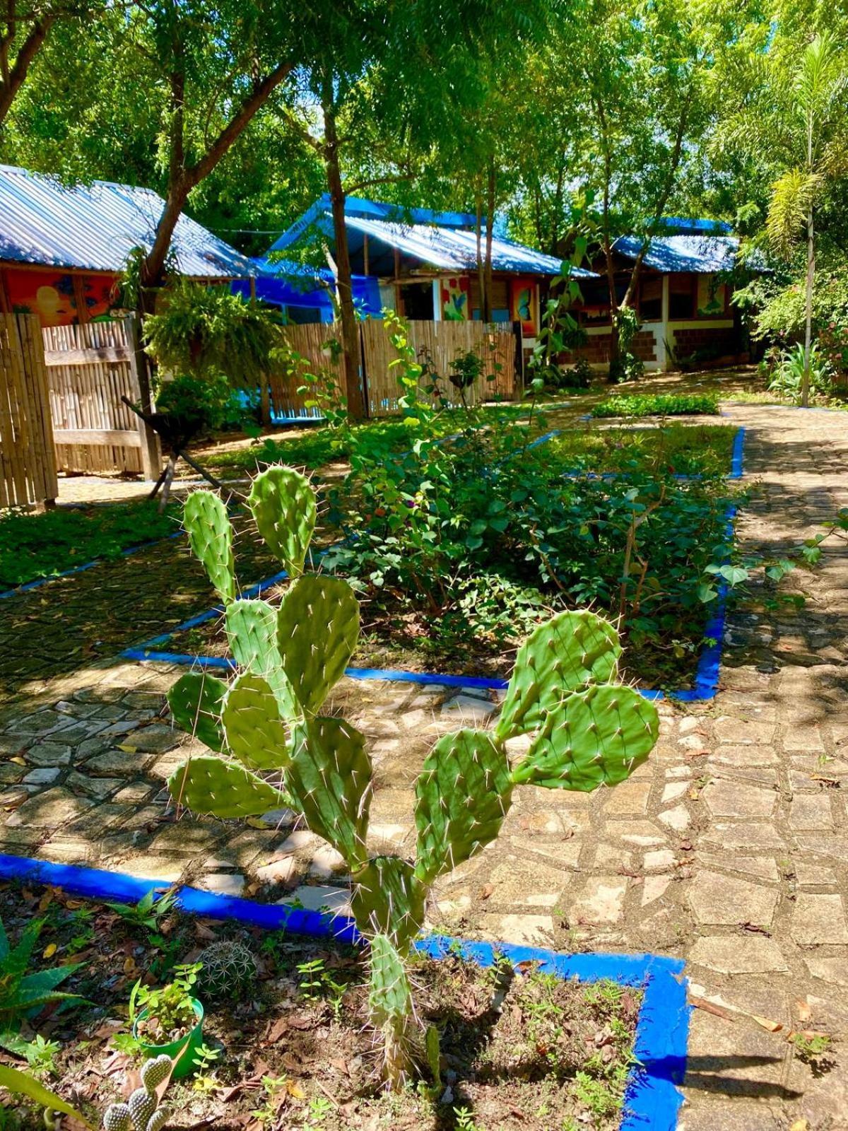 Finca Ecoturistica LOS JAGUEYES Baraya Exterior foto