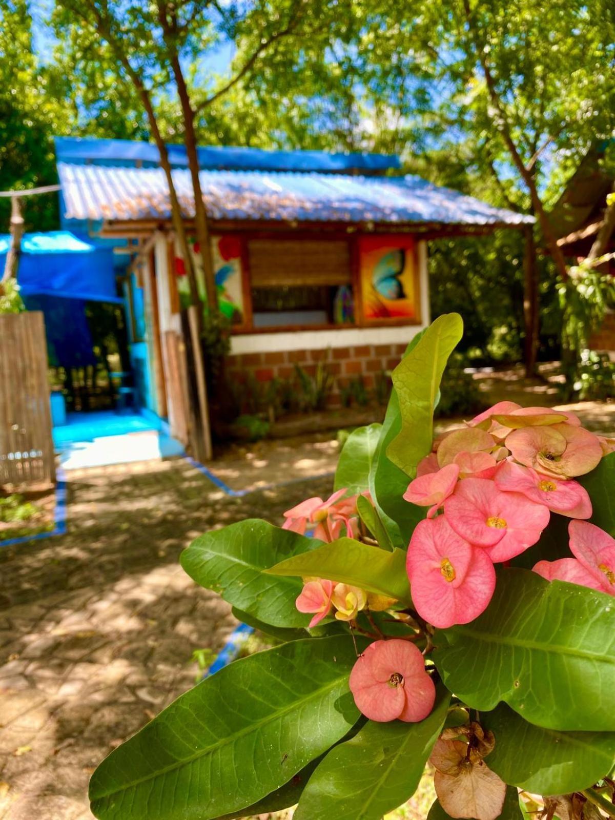 Finca Ecoturistica LOS JAGUEYES Baraya Exterior foto