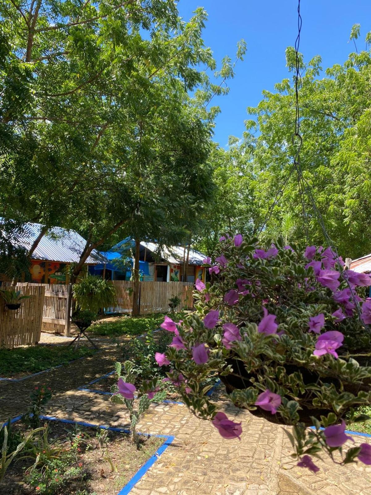 Finca Ecoturistica LOS JAGUEYES Baraya Exterior foto